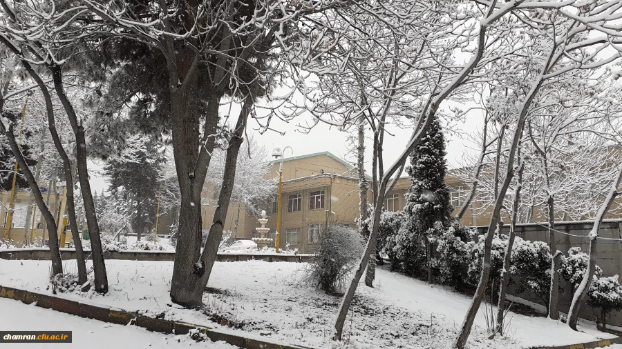 چشم انداز برفی پردیس شهید چمران 6