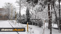 چشم انداز برفی پردیس شهید چمران 7