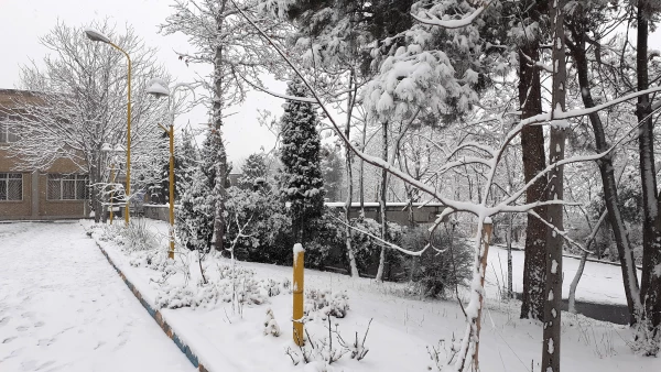 چشم انداز برفی پردیس شهید چمران 7