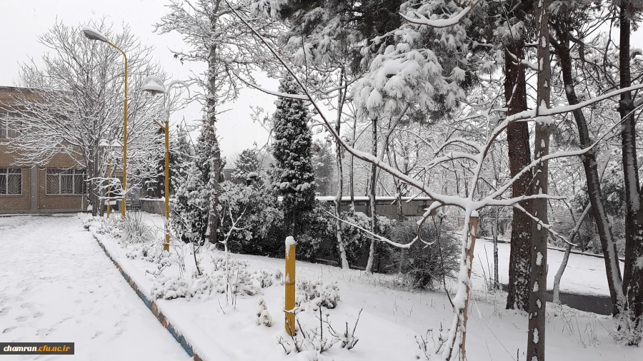 چشم انداز برفی پردیس شهید چمران 7