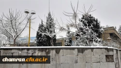 چشم انداز برفی پردیس شهید چمران 8