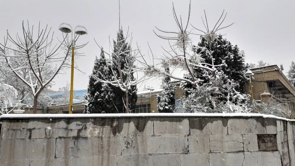 چشم انداز برفی پردیس شهید چمران 8