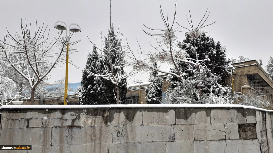 چشم انداز برفی پردیس شهید چمران 8