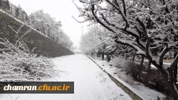 چشم انداز برفی پردیس شهید چمران 9