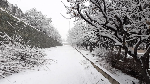 چشم انداز برفی پردیس شهید چمران 9