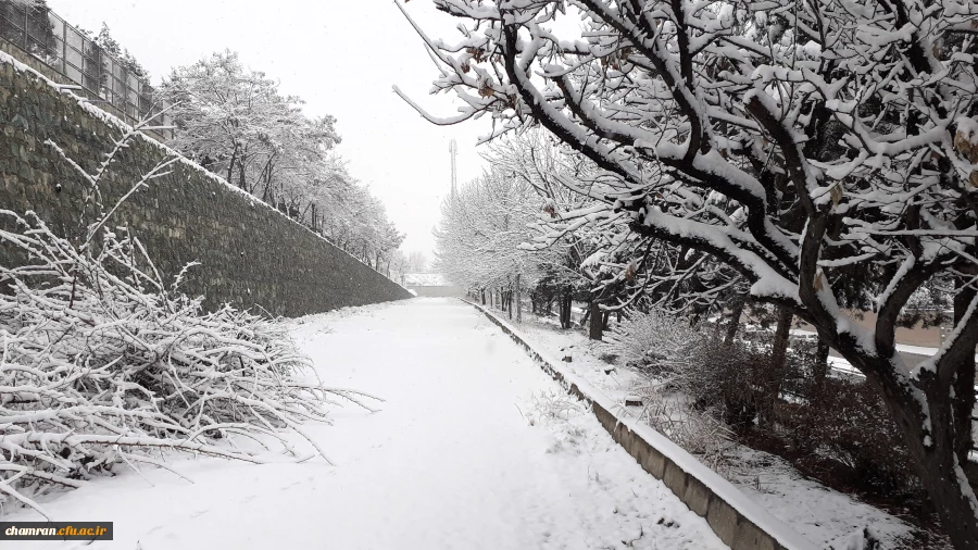 چشم انداز برفی پردیس شهید چمران 9