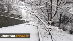 چشم انداز برفی پردیس شهید چمران 10