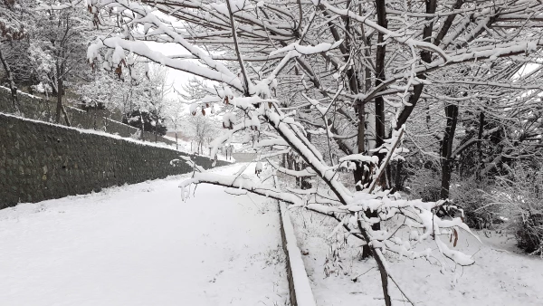 چشم انداز برفی پردیس شهید چمران 10