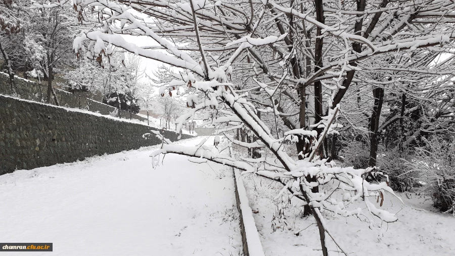 چشم انداز برفی پردیس شهید چمران 10