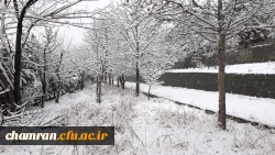 چشم انداز برفی پردیس شهید چمران 11