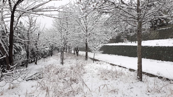 چشم انداز برفی پردیس شهید چمران 11