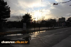 تصاویری از محیط پردیس شهید چمران 3