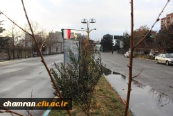 تصاویری از محیط پردیس شهید چمران 4