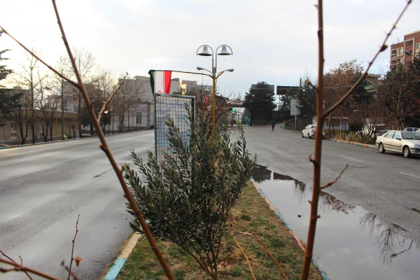 تصاویری از محیط پردیس شهید چمران 4