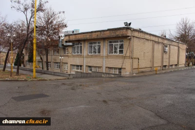 عصر بارانی در پردیس شهید چمران