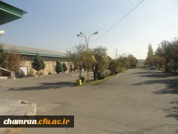 تصاویری از پردیس شهید چمران 10