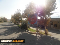 تصاویری از پردیس شهید چمران 11
