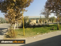 تصاویری از پردیس شهید چمران 12