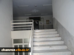 تصاویری از پردیس شهید چمران 18