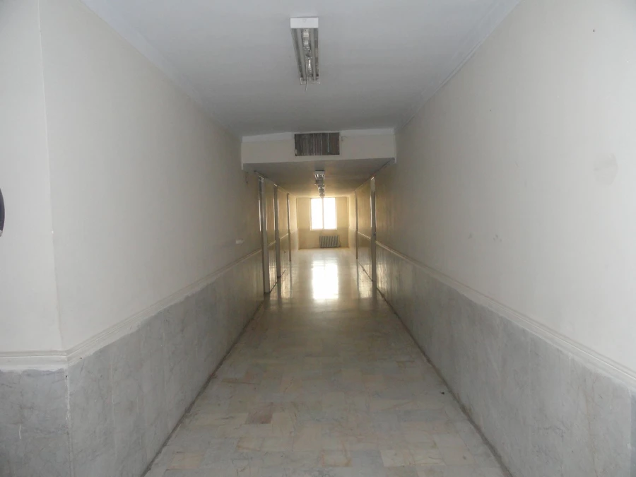 تصاویری از پردیس شهید چمران 19