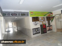 تصاویری از پردیس شهید چمران 21