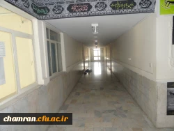 تصاویری از پردیس شهید چمران 25