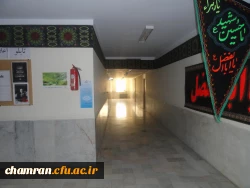 تصاویری از پردیس شهید چمران 31