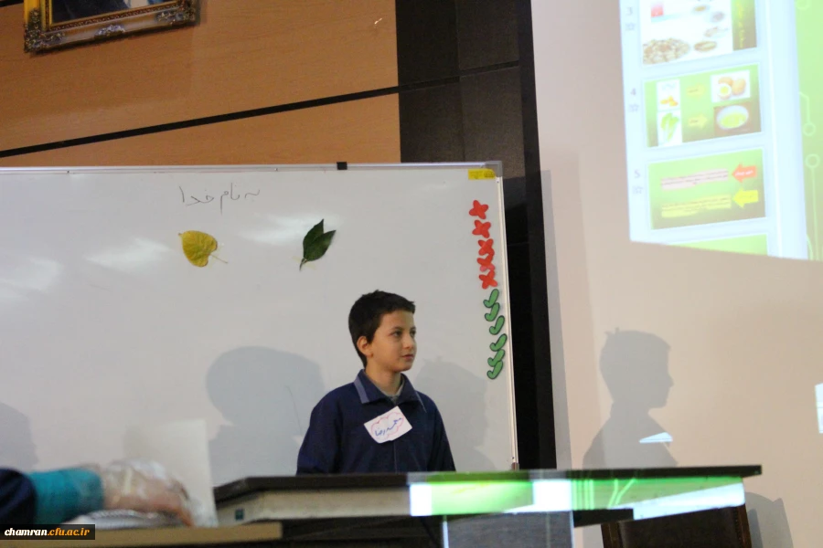 جشنواره استانی تدریس برتر در دو حوزه آموزش ریاضی و علوم تجربی 17