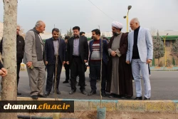 کاشت نهال به مناسبت روز درختکاری
 2