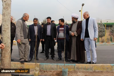 درختکاری در محوطه پردیس شهید چمران
