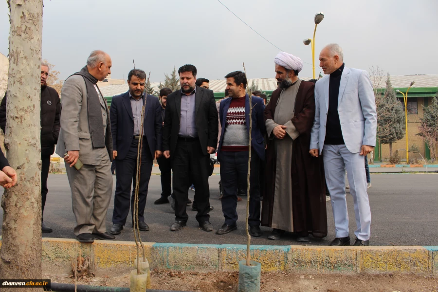 کاشت نهال به مناسبت روز درختکاری
 2