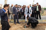 کاشت نهال به مناسبت روز درختکاری
 2