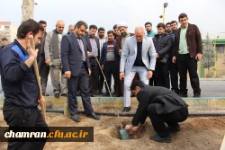 کاشت نهال به مناسبت روز درختکاری
 2