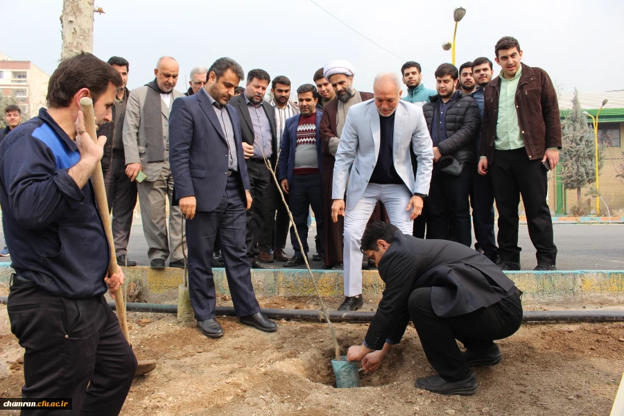 کاشت نهال به مناسبت روز درختکاری
 2