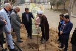 کاشت نهال به مناسبت روز درختکاری
 2