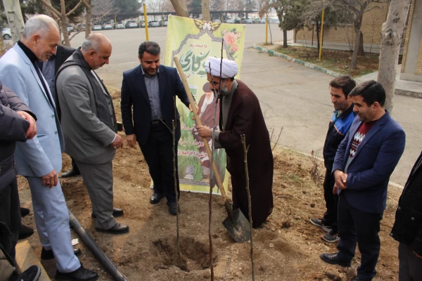 کاشت نهال به مناسبت روز درختکاری
 2