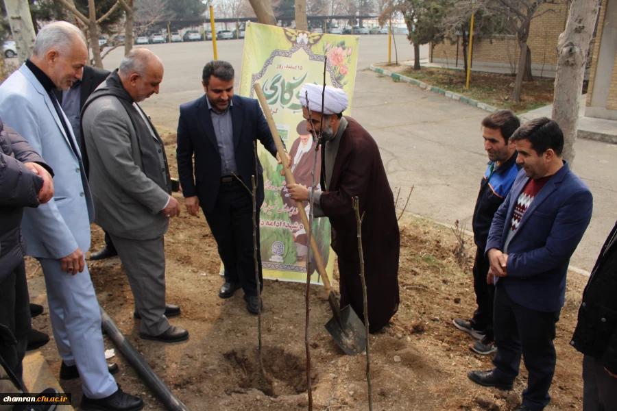 کاشت نهال به مناسبت روز درختکاری
 2