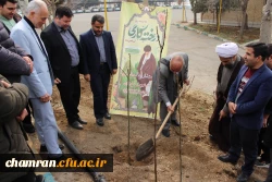 کاشت نهال به مناسبت روز درختکاری
 2