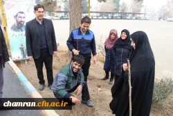 کاشت نهال به مناسبت روز درختکاری
 2