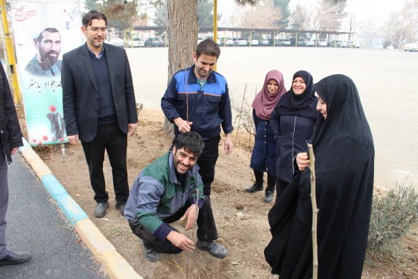 کاشت نهال به مناسبت روز درختکاری
 2