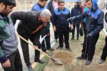 کاشت نهال به مناسبت روز درختکاری
 2
