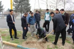 کاشت نهال به مناسبت روز درختکاری
 2