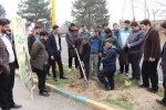 کاشت نهال به مناسبت روز درختکاری
 3