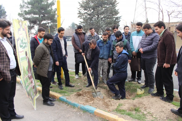 کاشت نهال به مناسبت روز درختکاری
 3