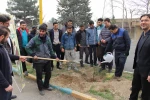 کاشت نهال به مناسبت روز درختکاری
 3