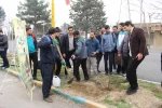 کاشت نهال به مناسبت روز درختکاری
 3