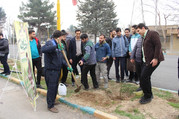 کاشت نهال به مناسبت روز درختکاری
 3