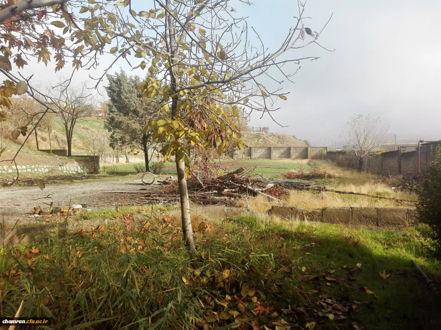 پاییز زیبا در پردیس شهید چمران - ۵ آذر ۱۳۹۷ 2