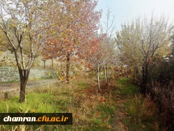 پاییز زیبا در پردیس شهید چمران - ۵ آذر ۱۳۹۷ 8