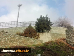 پاییز زیبا در پردیس شهید چمران - ۵ آذر ۱۳۹۷ 9